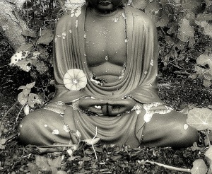 Buddha-001